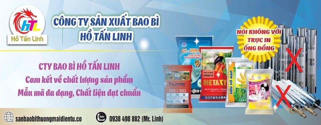 II. Lĩnh vực hoạt động