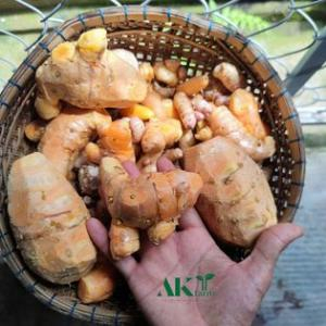AKT Farm