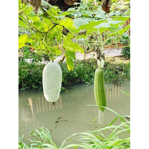 Tại sao Tuấn Tường là nơi chữa lành lý tưởng?