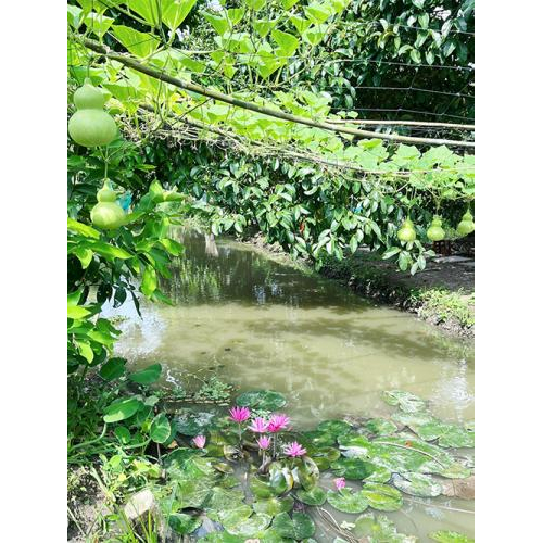 Tại sao Tuấn Tường là nơi chữa lành lý tưởng?