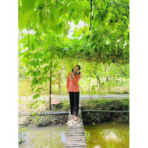 Tại sao Tuấn Tường là nơi chữa lành lý tưởng?