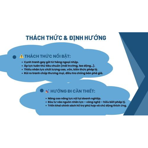 3. Những Thách Thức Đặt Ra Trong Quá Trình Tận Dụng Các FTA