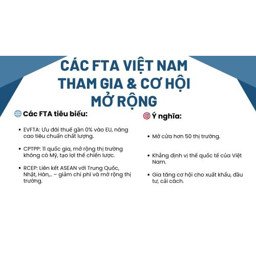 1. Tổng Quan Về Các Hiệp Định Thương Mại Tự Do Mà Việt Nam Đã Tham Gia