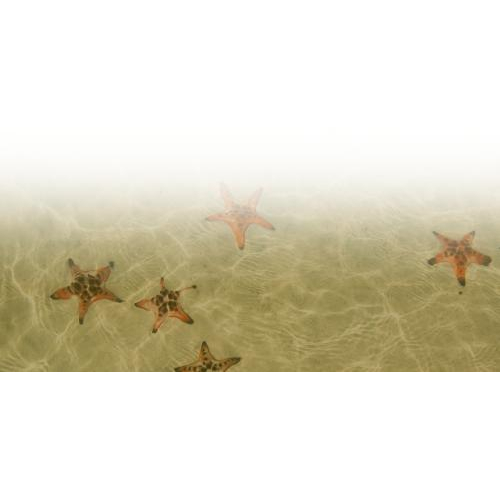 AI Models Là Gì? Làm Rõ Vì Sao Mỗi AI Ra Đời Đều Có Trình Độ Khác Nhau