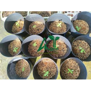 Hộ Kinh Doanh Cơ Sở AKT Farm